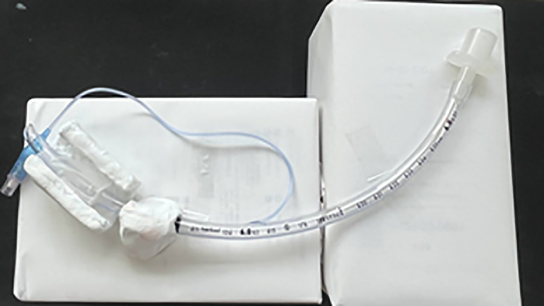 Fig 1