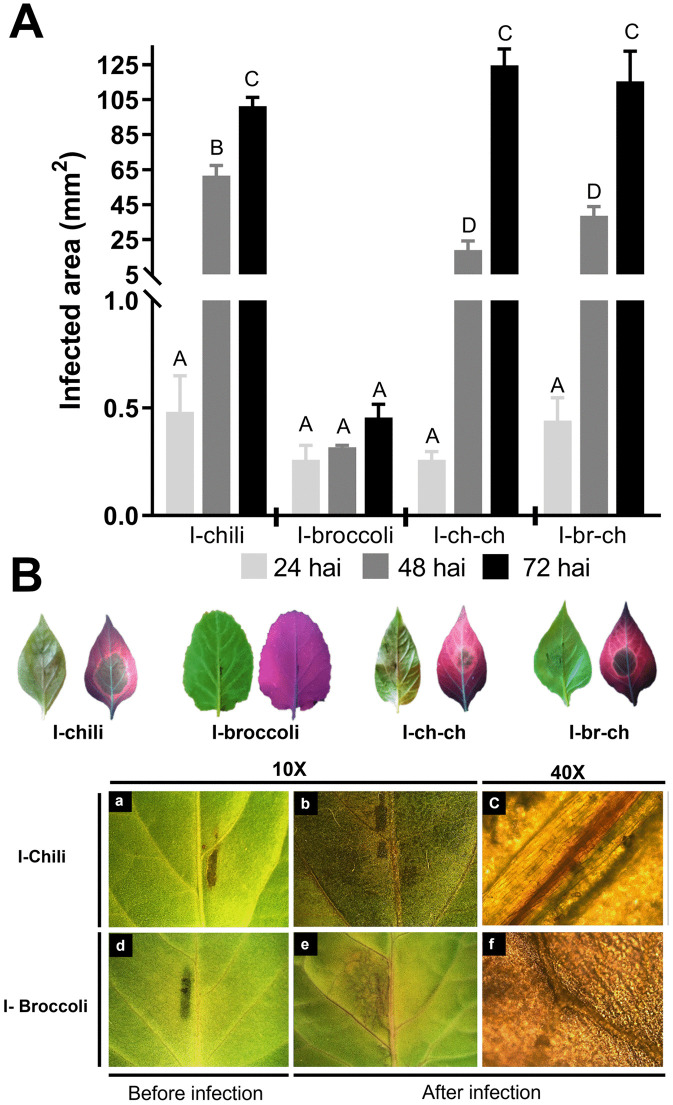 Fig 5