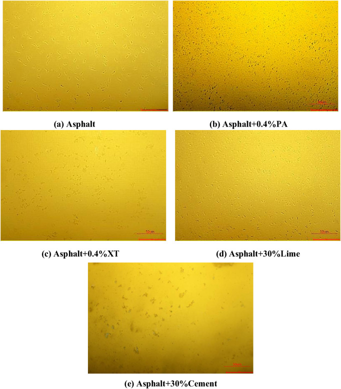 Fig 10