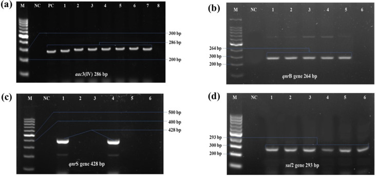 Fig 8