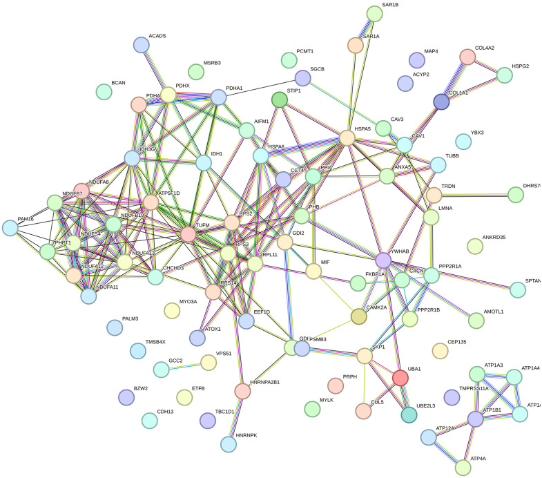 Fig 2