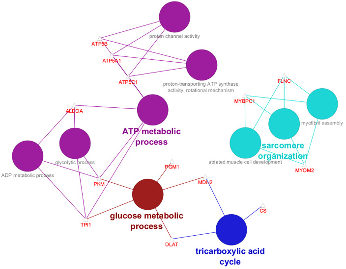 Fig 3