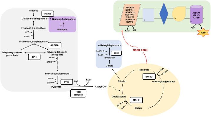 Fig 4