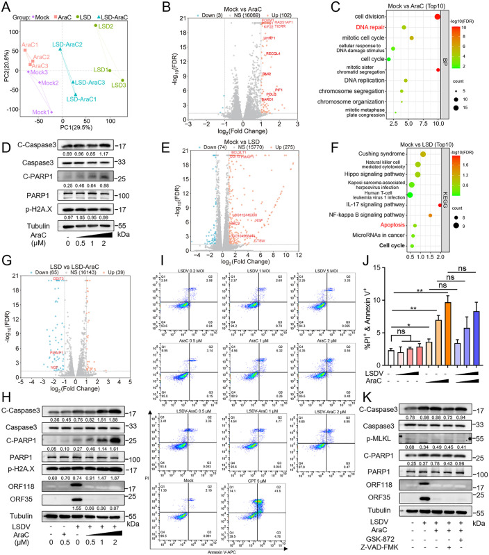 Fig 6