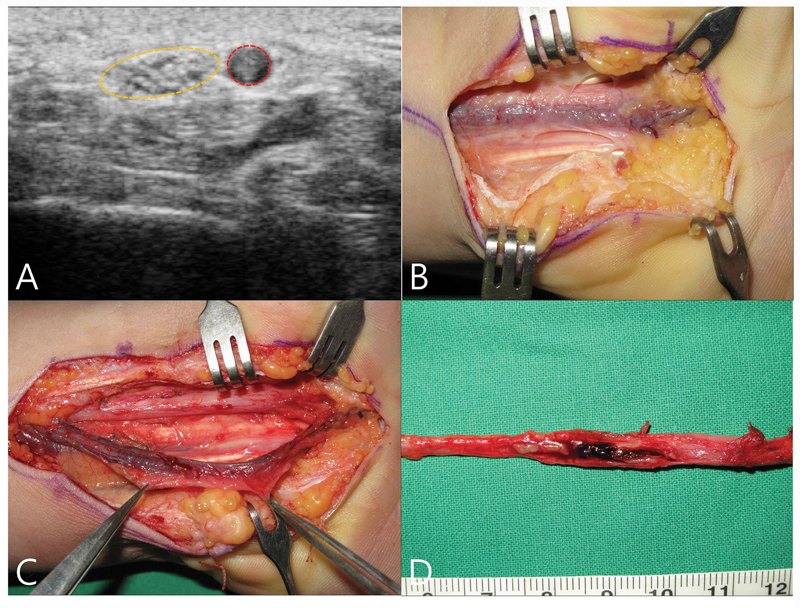 Fig. 7