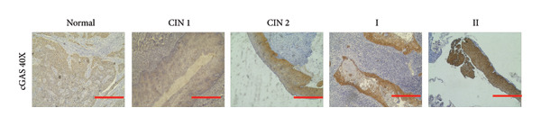 Figure 20