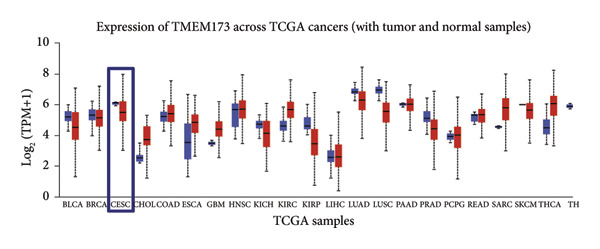 Figure 23