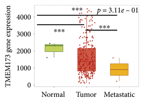 Figure 24
