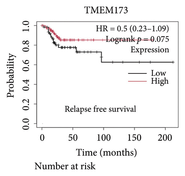 Figure 29