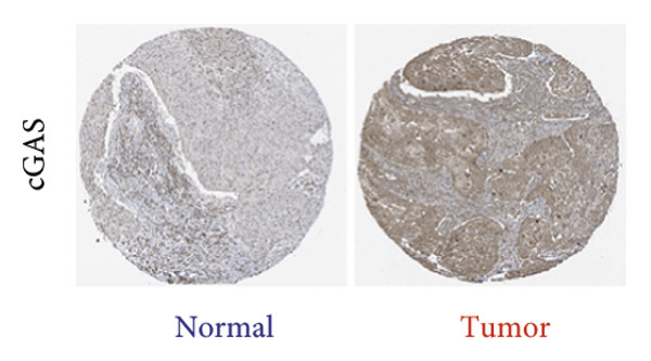 Figure 30