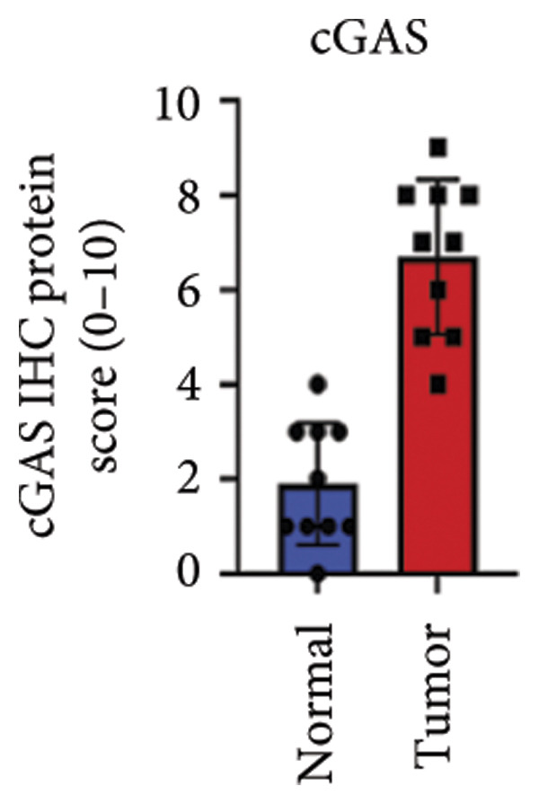 Figure 31