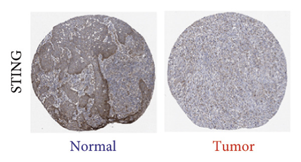 Figure 32