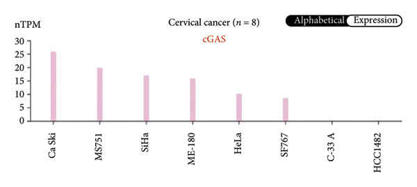 Figure 35