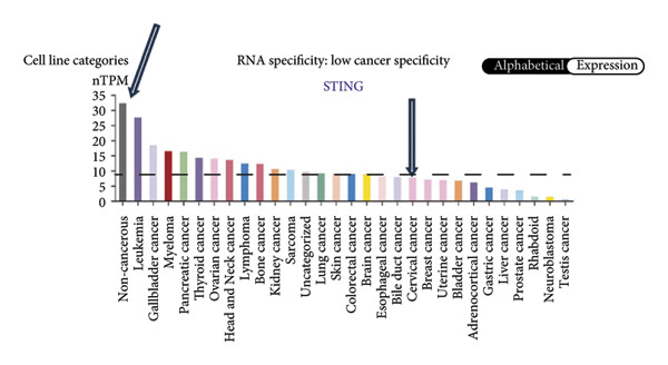 Figure 37