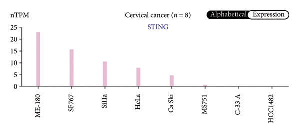 Figure 38
