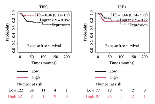 Figure 41