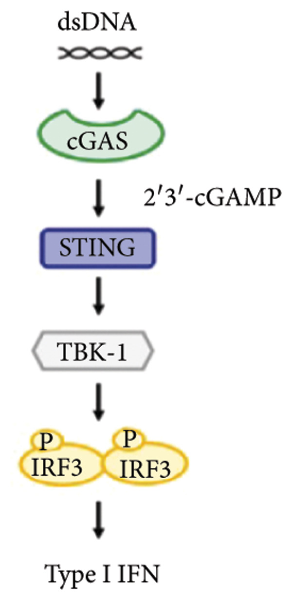 Figure 46