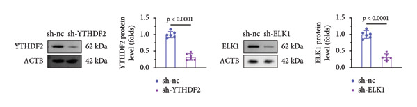 Figure 19