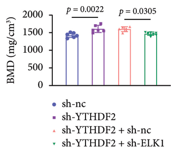 Figure 21