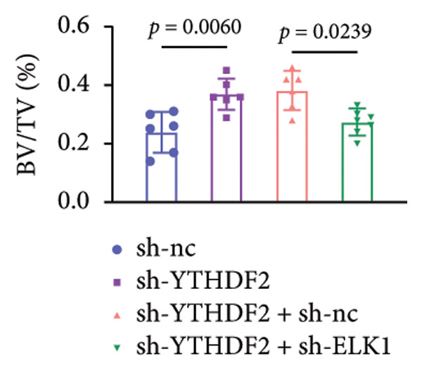 Figure 22