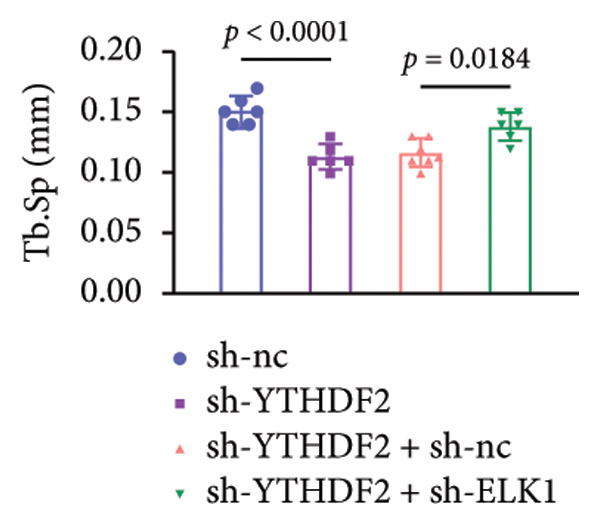 Figure 24