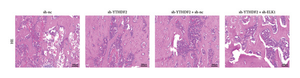Figure 27