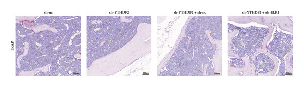 Figure 28