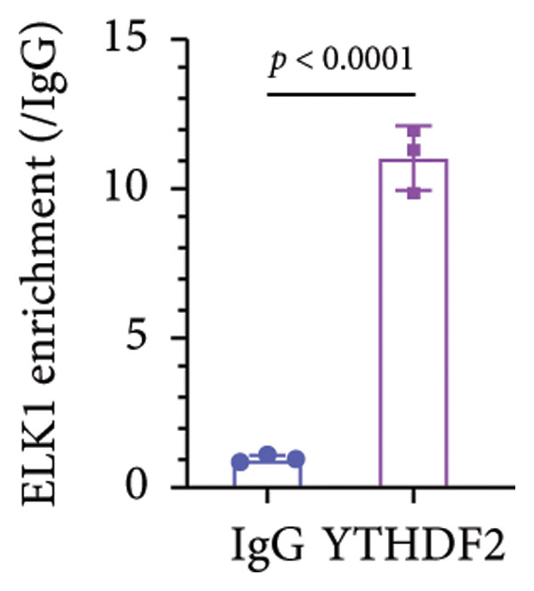 Figure 30