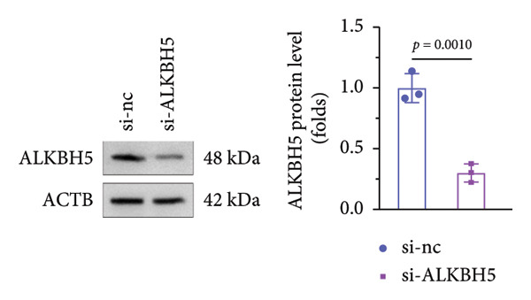 Figure 33