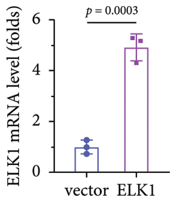 Figure 35