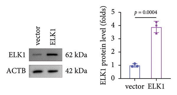 Figure 36