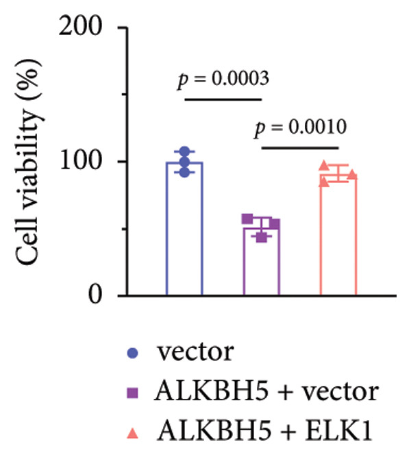 Figure 37
