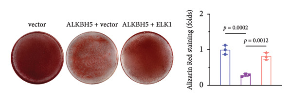 Figure 39