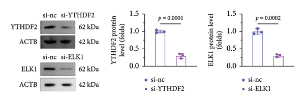 Figure 41