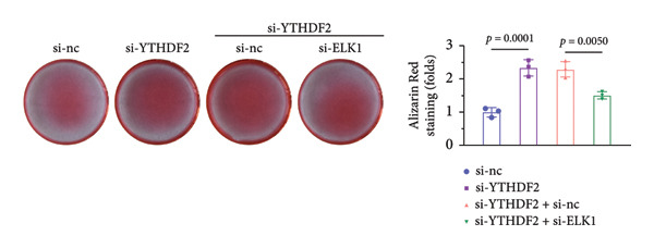 Figure 44