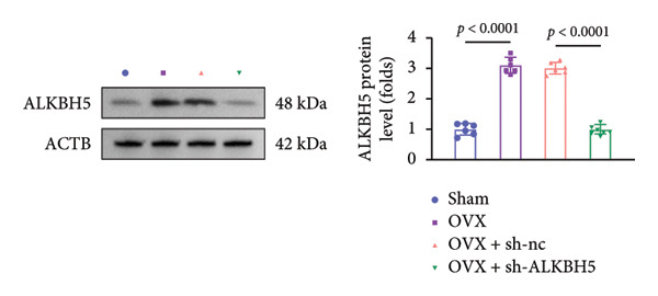 Figure 46