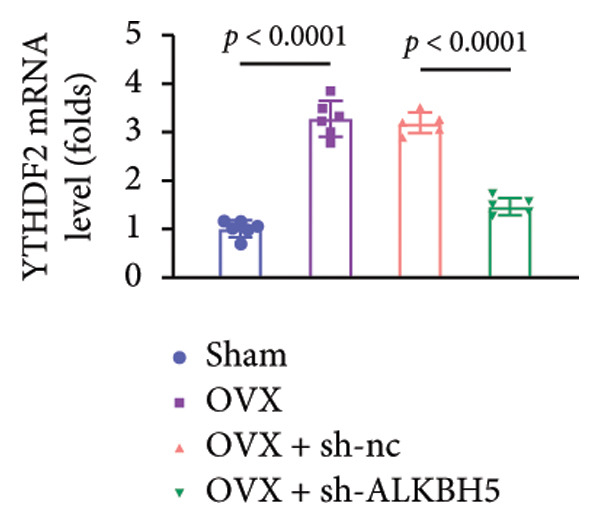 Figure 47