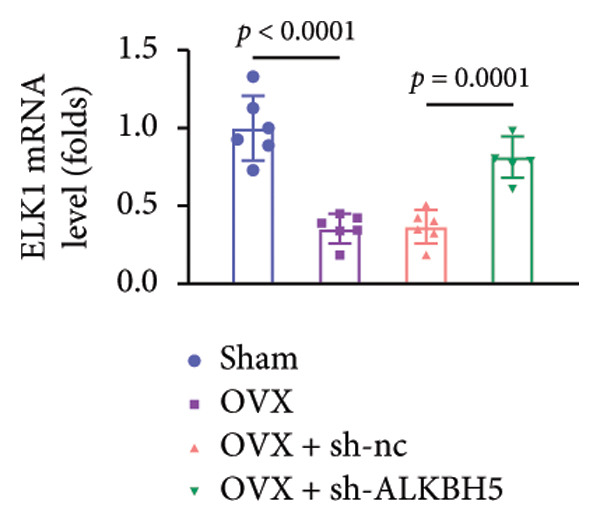 Figure 48