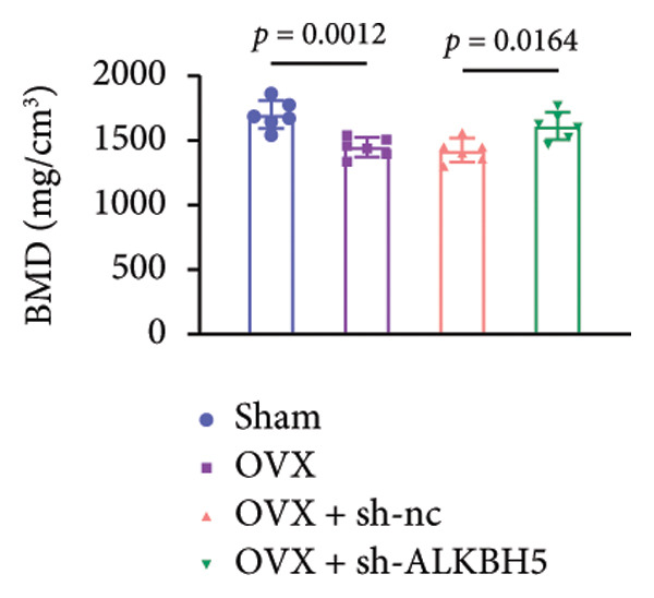 Figure 50
