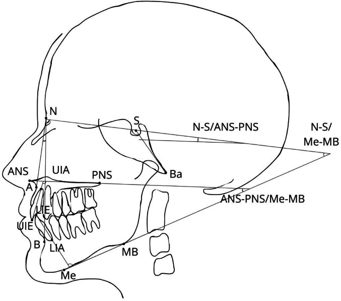 Figure 1