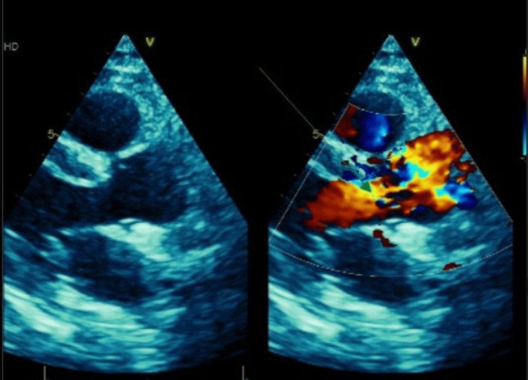 Figure 5