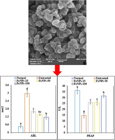 Figure 10