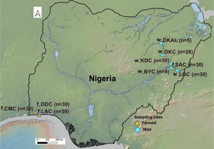 Figure 6