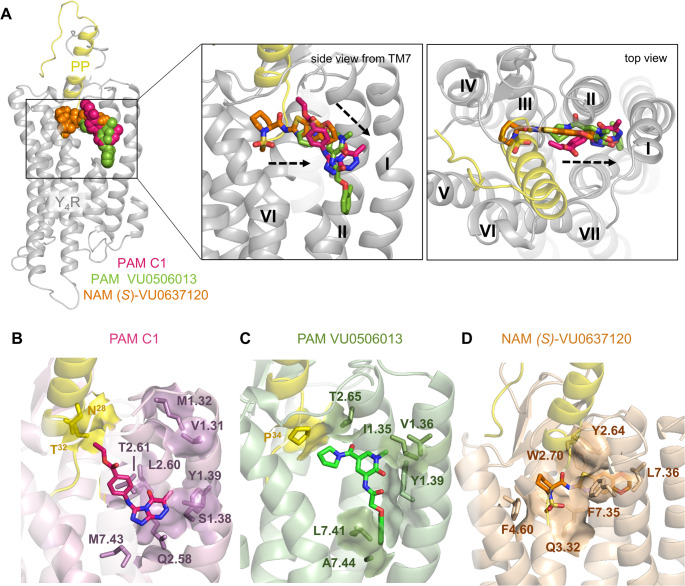 Figure 10