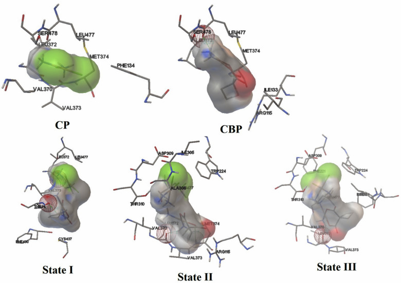 Figure 10