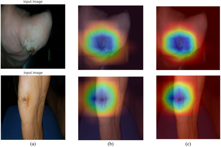 Figure 24