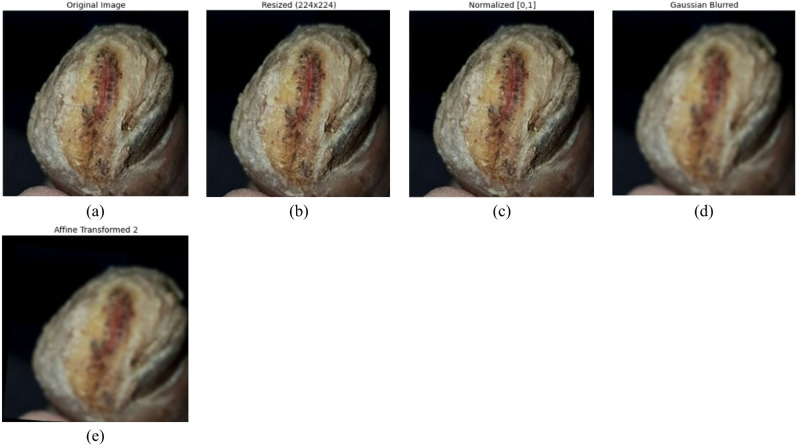 Figure 4