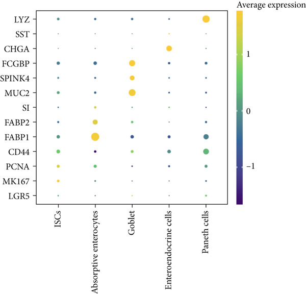 Figure 16