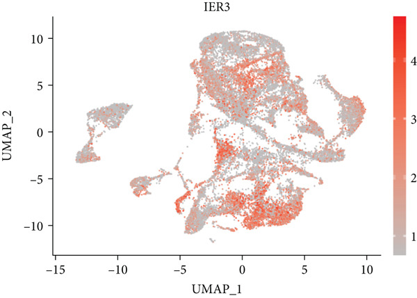 Figure 18