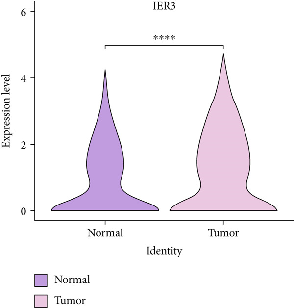 Figure 19